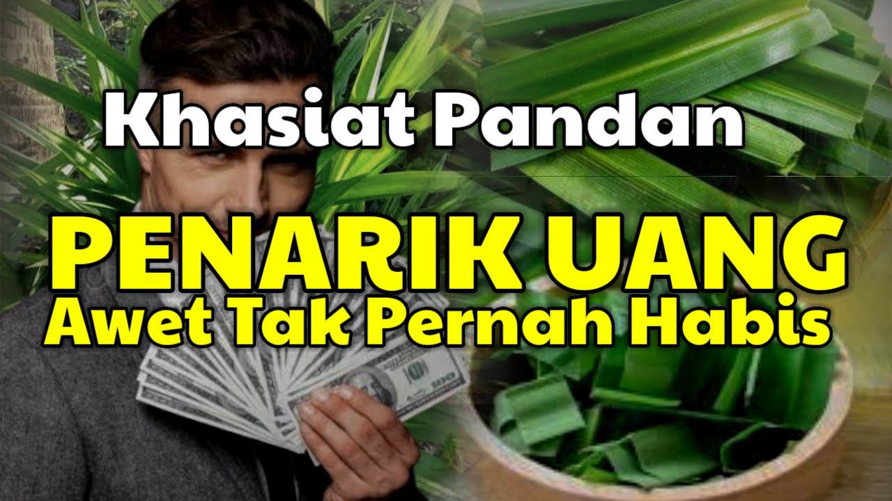Simpen Daun Pandan di Rumah, Rezeki Ngalir Deras! Rahasia yang Jarang Diketahui Banyak Orang!