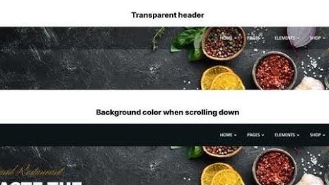 Navbar Transparent to Solid Color on Scroll with React js and taiwind css