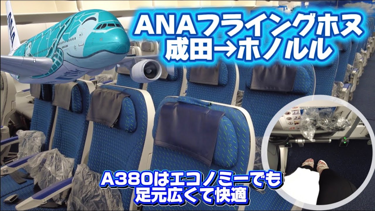 ハワイ旅行】ANA A380フライングホヌで行く エコノミークラス - YouTube
