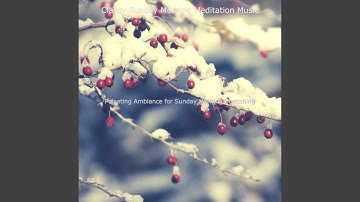 Stellar Moods for Sunday Wellness Routines