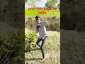 #song #music #tseries #beats #ihavethisthingwithplants #haveitoldyoulatelythatiloveyou #funn