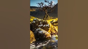 🟠تلاوة من سورة النمل🟠🟤 بصوت القارئ عبد الرحمن مسعد 🟤