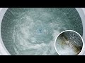 Washing Machine Top Load Eco Tub Clean | Full Demo + Hidden Cleaning Tips #laundry #viralvideo