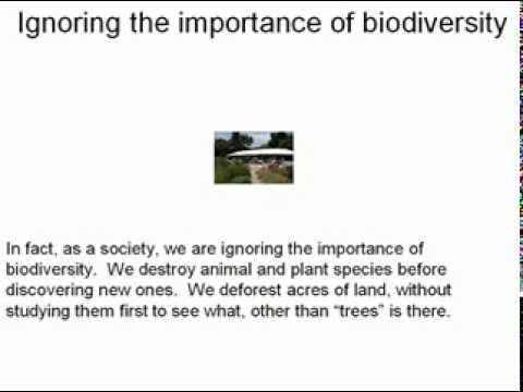 importance of biodiversity