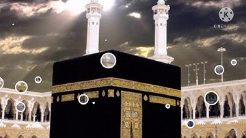 القارئ الصغير سورة البلد بصوت جميل