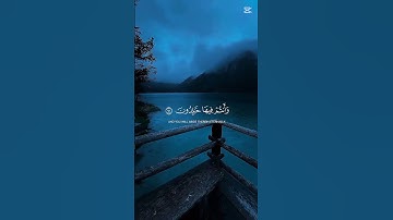 قرآن كريم بصوت الشيخ محمد اللحيدان 🫀#قرآن #قران_كريم #راحة_نفسية #محمد_اللحيدان #fyp