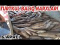 06.04.2021 ТУРТКУЛЬ БАЛИК БОЗОР НАРХЛАРИ| 06.04.2021 TURTKUL BALIQ BOZOR NARXLARI