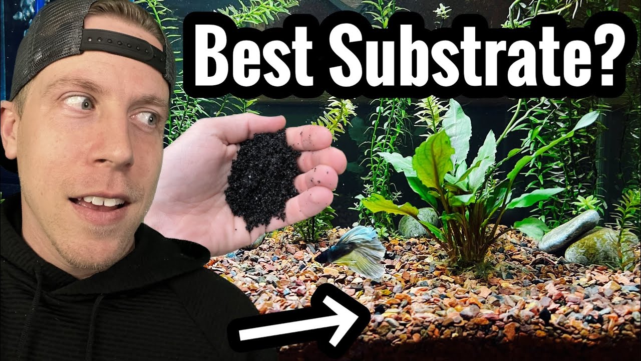 The Best Types of Aquarium Sand for Plants (Full Guide)