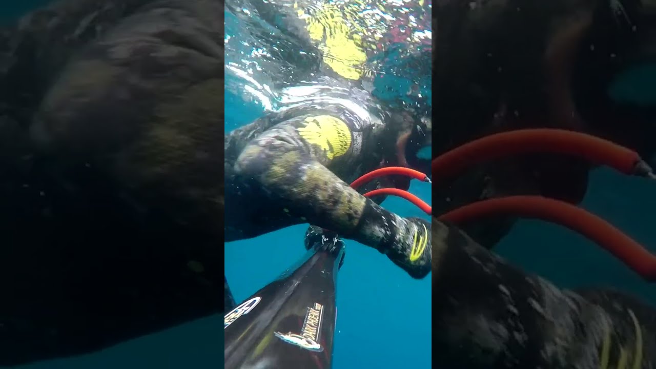 Seriole à l'agachon Dark Phoenix 110 