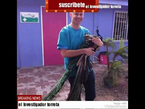 ENTRENAMIENTOS,CARRERAS,GOLPES DE CAYO PERICO,CASINO,EVENTOS Y GOLPES CLASICOS DEL DEPARTAMENTO