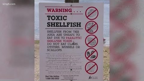Presence of dangerous biotoxin stops shellfish harvesting on Washington’s coast