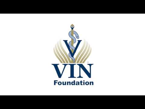 VIN Foundation Student Loan Repayment Simulator