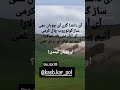 آی چوبان عمی