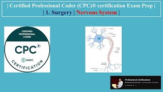 | Certified Professional Coder (CPC)® cert Exam Prep | 1. Surgery | Nervous System |