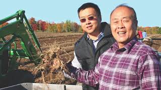 UW-Madison alum helps lead one of the largest American Ginseng farms in the U.S.