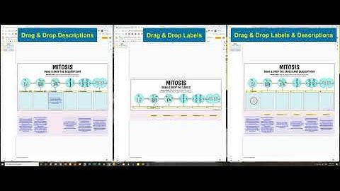 Mitosis - 16 Interactive Google Slide Activities | Distance Learning (by Tangstar Science)