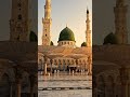 hasbi rabbi #love #youtubeshorts #ai #viralshorts #quran #deensayings #nature #beautiful #youtubetv