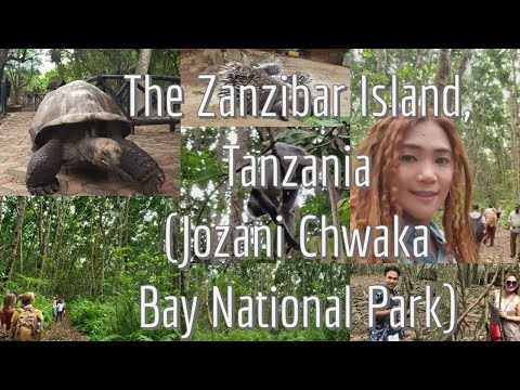 Zanzibar Island,Tanzania - Jozani Chwaka Bay National Park