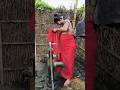 ducking save seriously injured cat #duckrescue #cuteanimals #shortsfeed #shorts