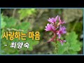 최양숙 사랑하는마음 1967 최양숙 사랑하는마음 1967