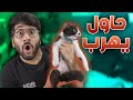 جربت اختبار ذكاء لقطتي 🐈🧠!! (( نتيجته صدمتني 🤣 )) !! اختبار دوشق || CAT IQ TEST