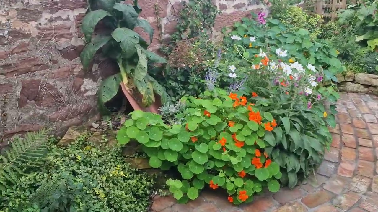 A little garden revisited a year later now it has all settled in.