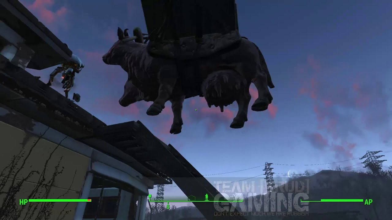 Fallout 4 problem: Brahmin stuck on roof [Solved] - YouTube