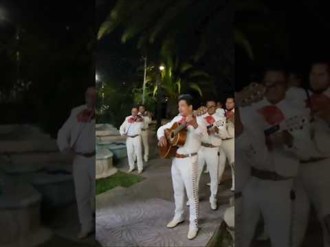 Feliz 15 Daniela