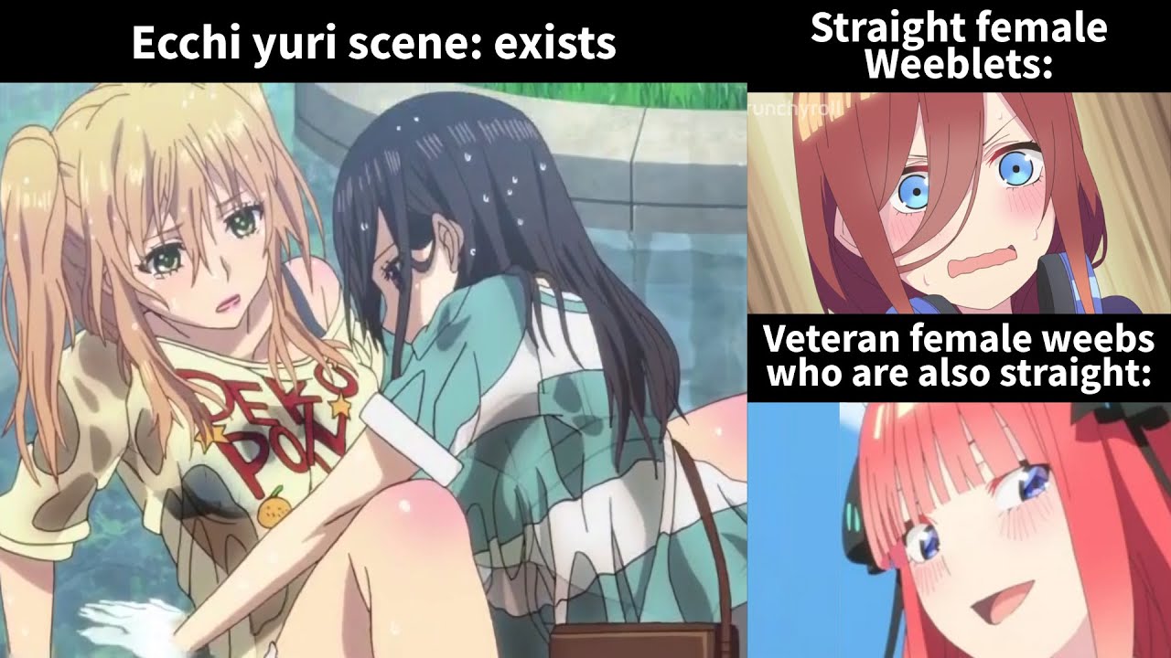 Gotoubun no hanayome  Anime, Anime memes, Memes