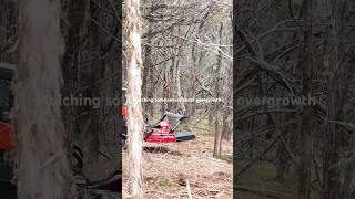 Kubota SlV 97-S & Fecon disc mulcher