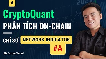 CryptoQuant TẬP 4A: Network Indicator - Nhà đầu tư hệ đu đỉnh ?