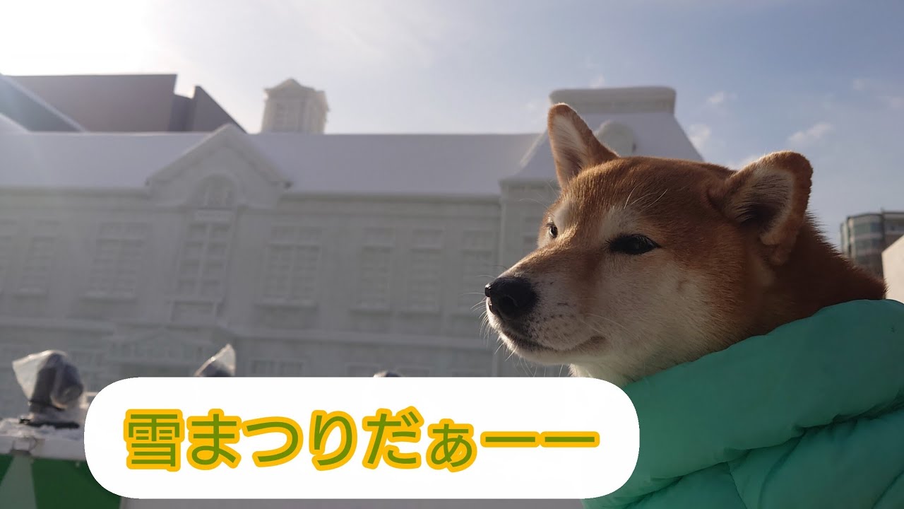 【柴犬と雪まつり♡】さっぽろ雪まつり/2026年2月 #40