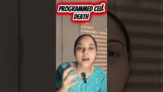 😱 Your Fingers Exist Because Cells Died! | Apoptosis in Embryonic Development #shorts #celldeath