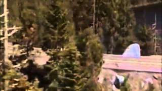 Roberto Delgado   Goodbye My Love Goodbye