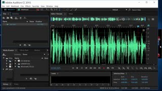 Screencast Challenge 6 Levelator