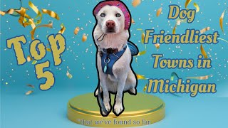 Top 5 Dog Friendly Towns in Michigan