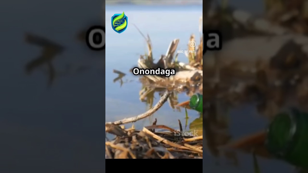 Onondaga Lake: Once sacred, later polluted, now healing. A story of hope and restoration 