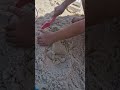 #praia #castelos #criança #shorts #shortvideo