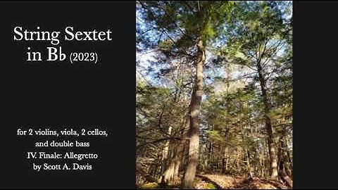 String Sextet in B flat: IV. Finale by Scott A. Davis