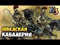 САМЫЕ ЖЕСТКИЕ РЕЙТАРЫ В 17-м ВЕКЕ ⚡ Рейтинговая игра Казаки 3