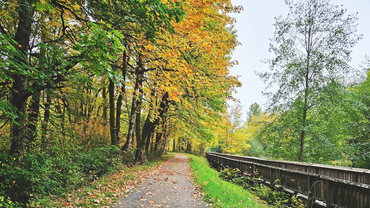 Billy Frank Jr. Nisqually National Wildlife Refuge / Walking Tour 
