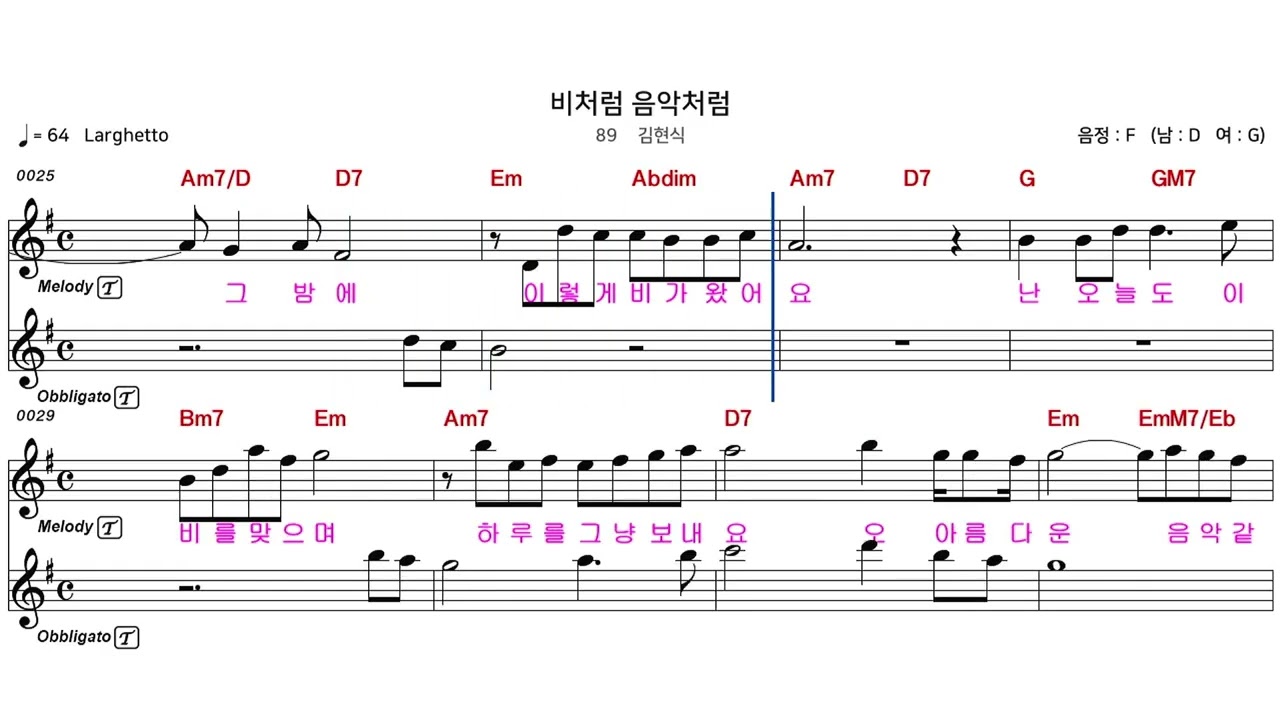 비처럼 음악처럼 가이드(소프)