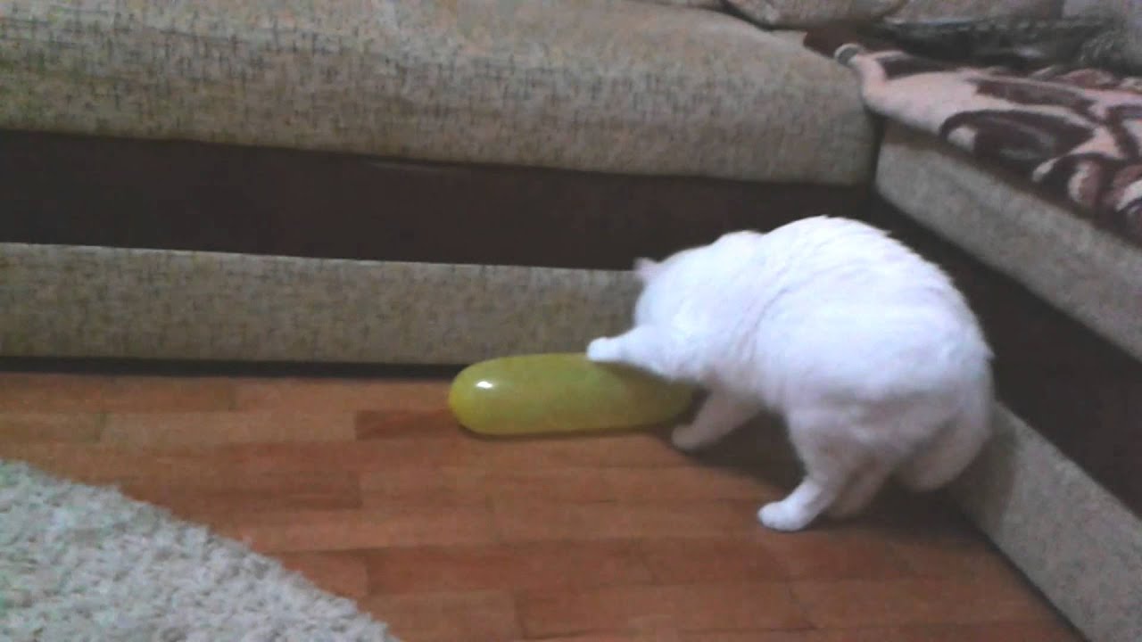 LiLiuC si un balonas buclucas - YouTube