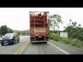 Carreta de eucalipto descendo serra, "rodovia ao extremo"