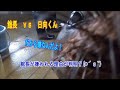 【アシカ】それが嫌われる理由か??(*´з`) (伊勢シーパラダイス/水族館)