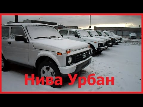 Нива урбан внутри