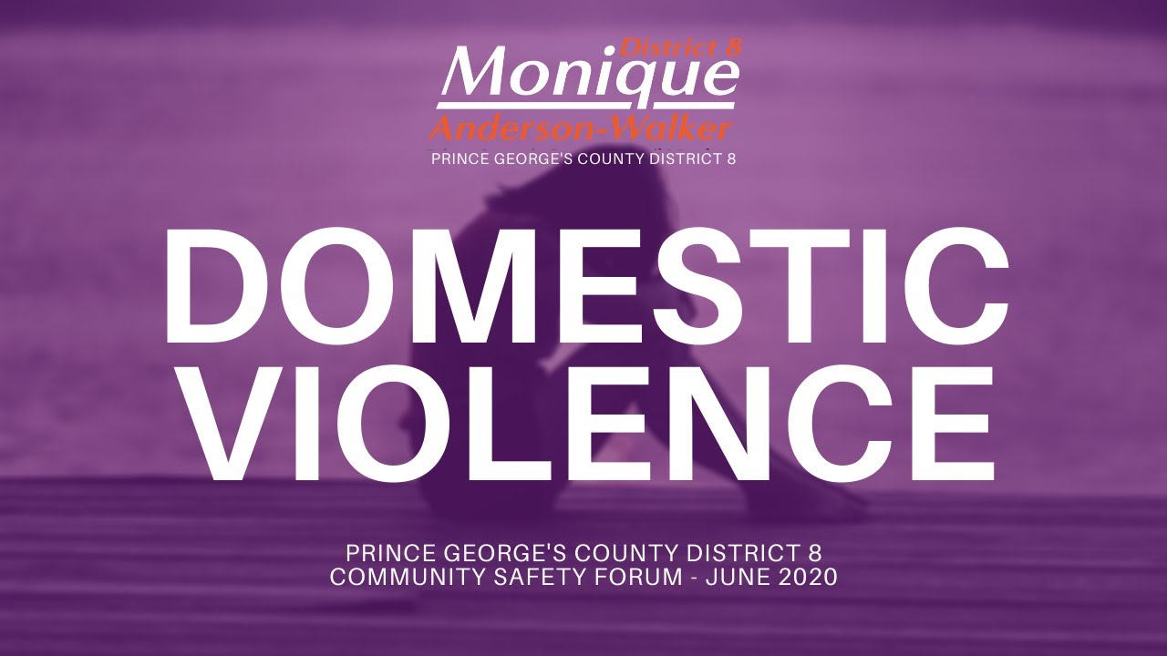 Domestic Violence Prince County Community Safety Forum
