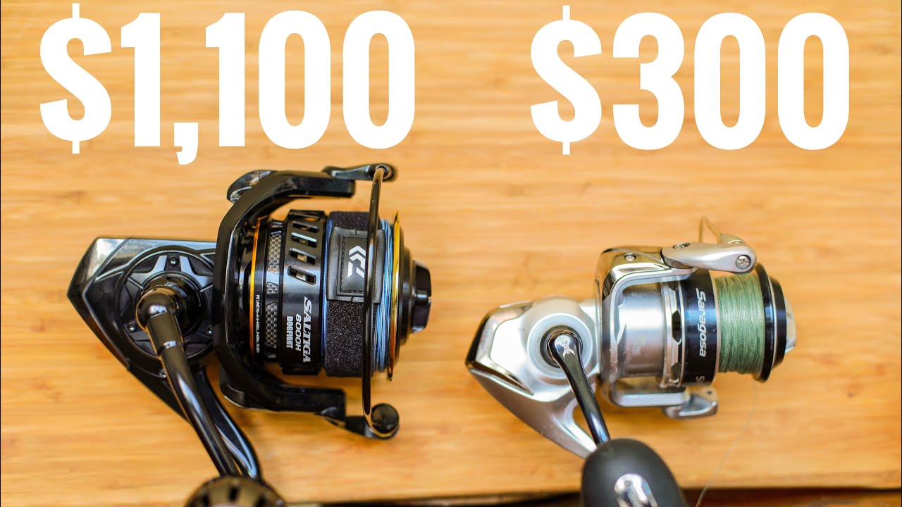 1,100 Fishing Reel vs 300 Fishing Reel YouTube