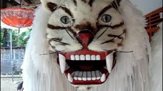 Can-macanan Kadduk (Barongsai Khas Madura) minat hubungi perajinnya di: 0852 3102 8688