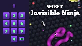 Slither.io INVISIBLE NINJA RELEASE 100% WORK and New Secret Code (Epic slither.io GamePlay) screenshot 4